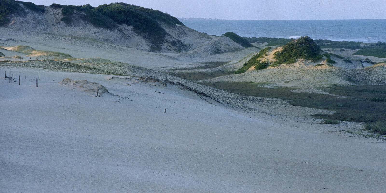 Dunas de areia clara do Parque Estadual de Itaúnas, em Conceição da Barra, com vegetação rasteira e o mar ao fundo